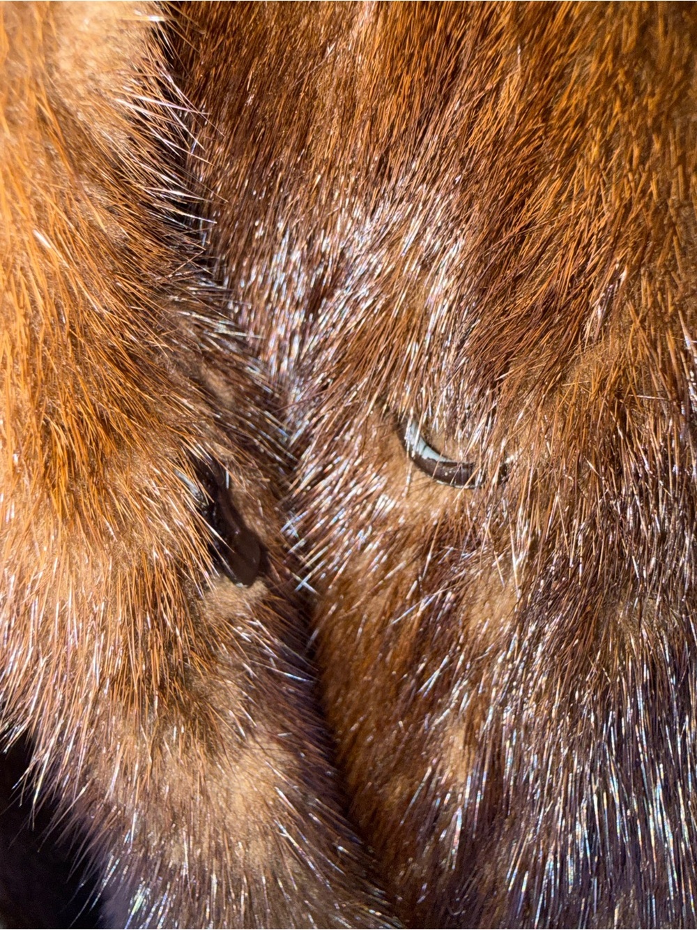 MINK STROLLER COAT IN BROWN MINK BY SAGA FURS - Picture 9 of 10
